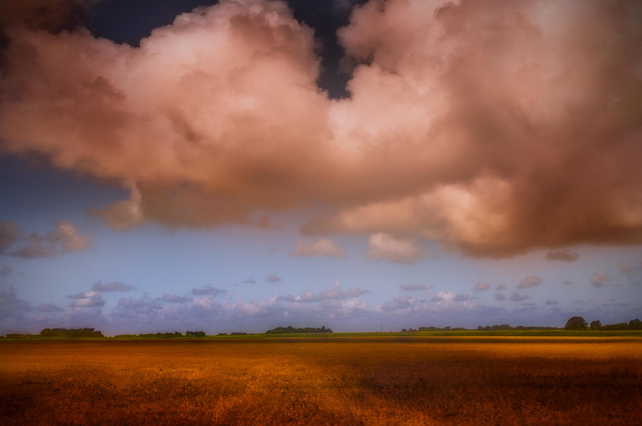 French fields filled up my depth of field